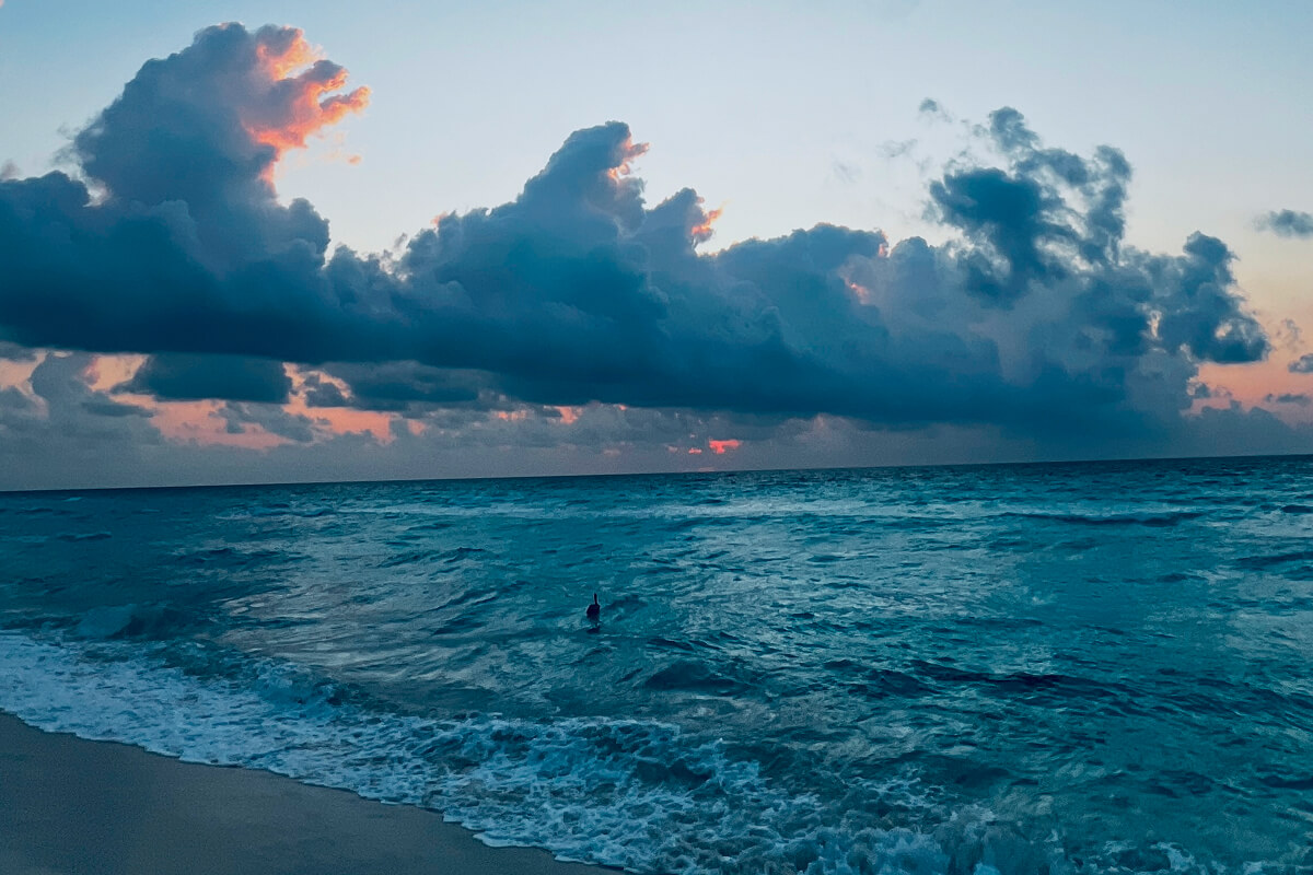 First year in Cancun